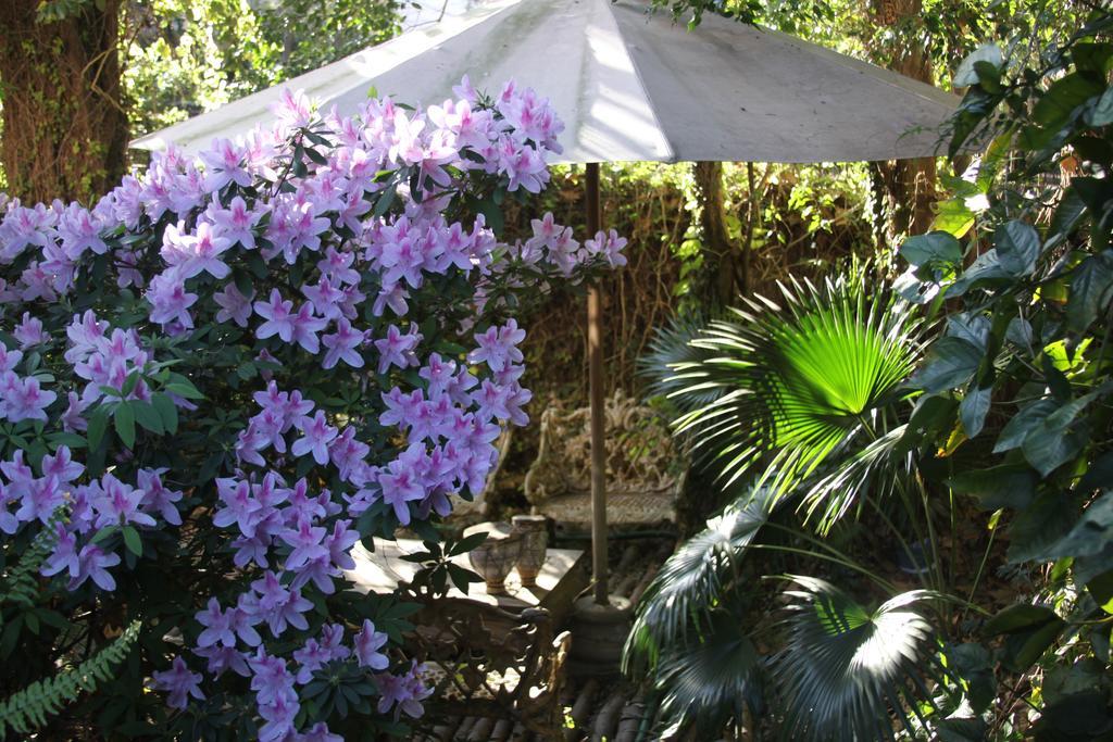 La Casona De Grace Bed & Breakfast Olivos Exterior foto