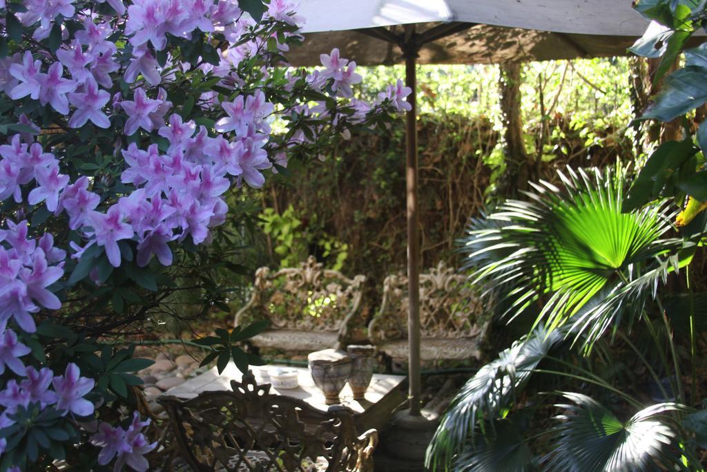 La Casona De Grace Bed & Breakfast Olivos Exterior foto