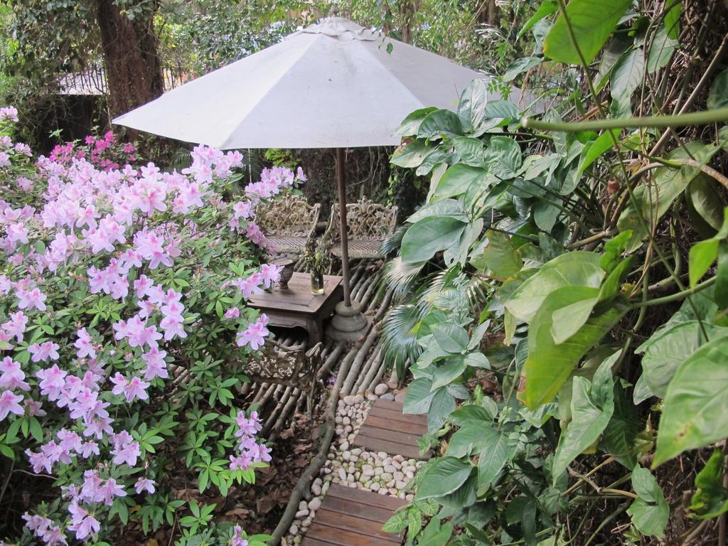 La Casona De Grace Bed & Breakfast Olivos Exterior foto